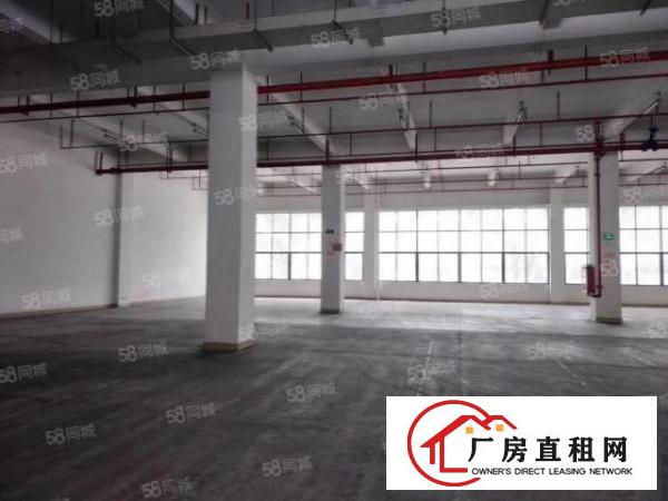  又靓又便宜独门独院高速出口旁厂房出租