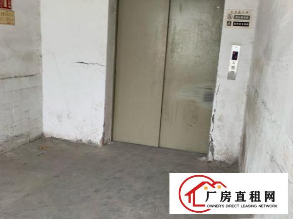  平湖鹅公岭新出楼上带装修厂房出租水电齐全