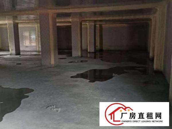  平湖白泥坑海吉星附近冷库，蔬果配送厂房出租500平方起租
