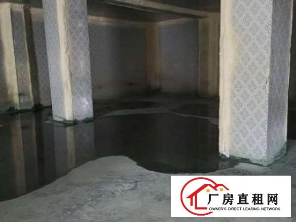  平湖白泥坑海吉星附近冷库，蔬果配送厂房出租500平方起租