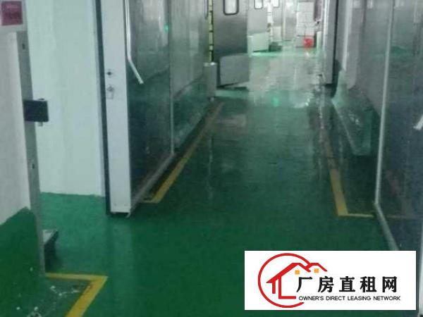 平湖白泥坑附近现成配送厂房出租，带冷库，300平方起租