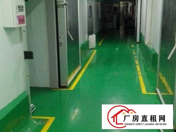  平湖白泥坑附近现成配送厂房出租，带冷库，300平方起租
