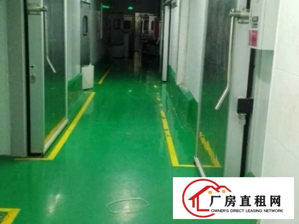  平湖白泥坑附近现成配送厂房出租，带冷库，300平方起租