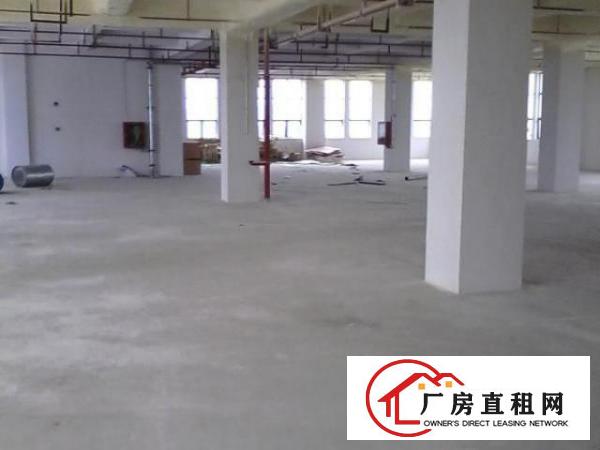  平湖白泥坑附近现成配送厂房出租，带冷库，300平方起租