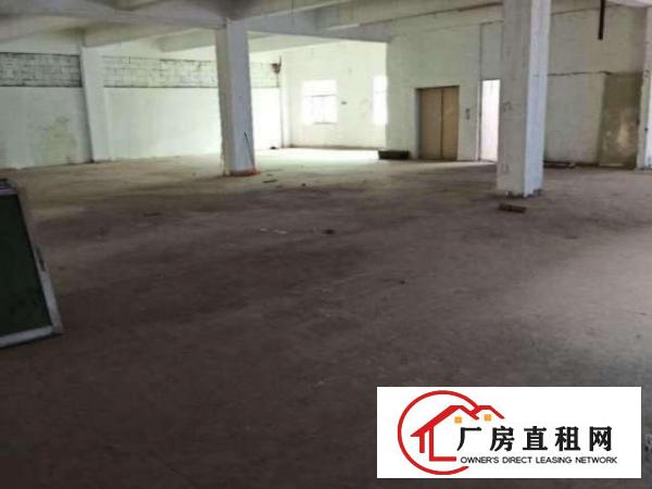  平湖鹅公岭4处性价比好的厂房出租，350平方起