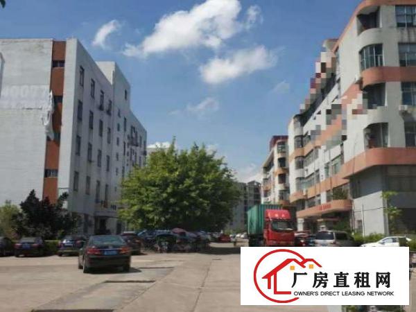  平湖鹅公岭4处性价比好的厂房出租，350平方起