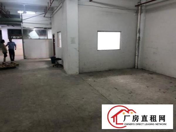  平湖白泥坑海吉星仓库出租
