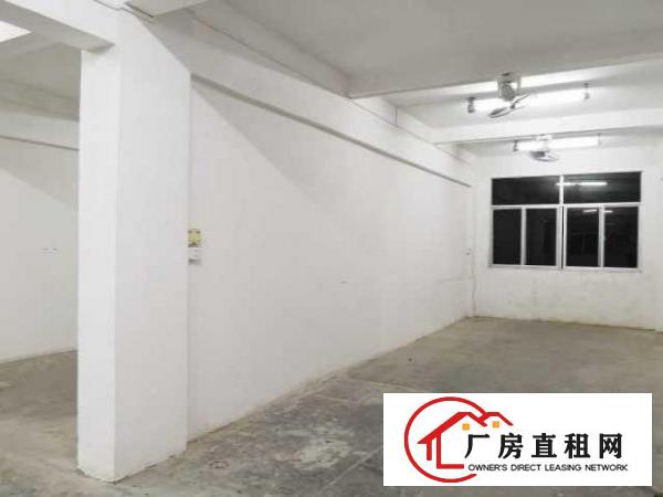  出租龙岗区平湖（独院）厂房低价