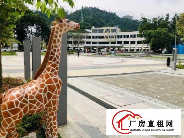  平湖广弘中心精装小面积办公室，带租赁红本配套家私