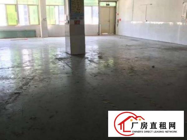  平湖白泥坑大门附近280平，500平方一楼配送厂房出租