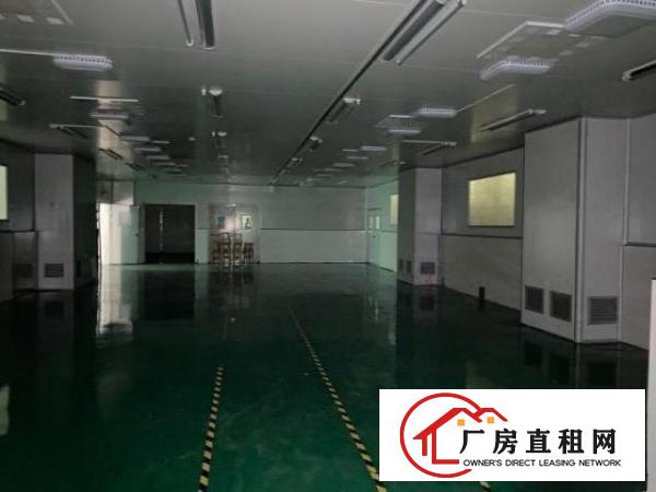  平湖华南城附近1000平米一楼标准厂房出租