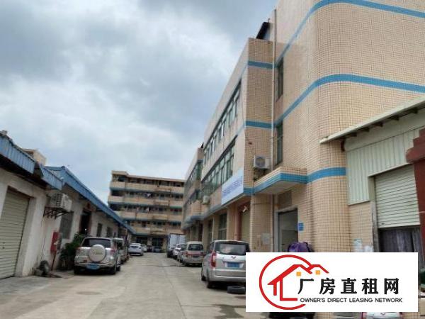  平湖华南城附近1000平米一楼标准厂房出租