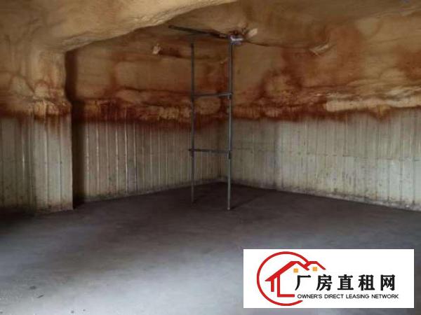  平湖白泥坑海吉星一楼，楼上厂房出租带冷库，50平方起租