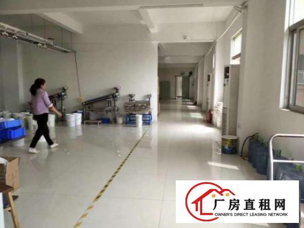  平湖白泥坑海吉星一楼，楼上厂房出租带冷库，50平方起租