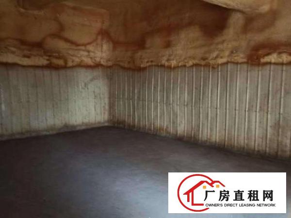  平湖白泥坑海吉星一楼，楼上厂房出租带冷库，50平方起租