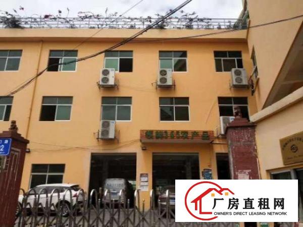  平湖白泥坑海吉星一楼，楼上厂房出租带冷库，50平方起租
