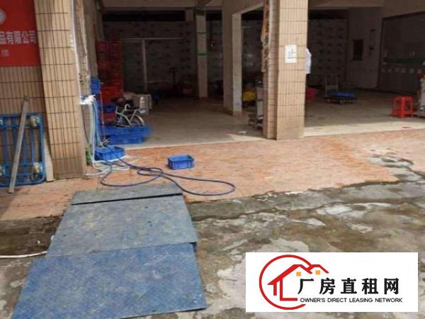  平湖白泥坑海吉星一楼，楼上厂房出租带冷库，50平方起租