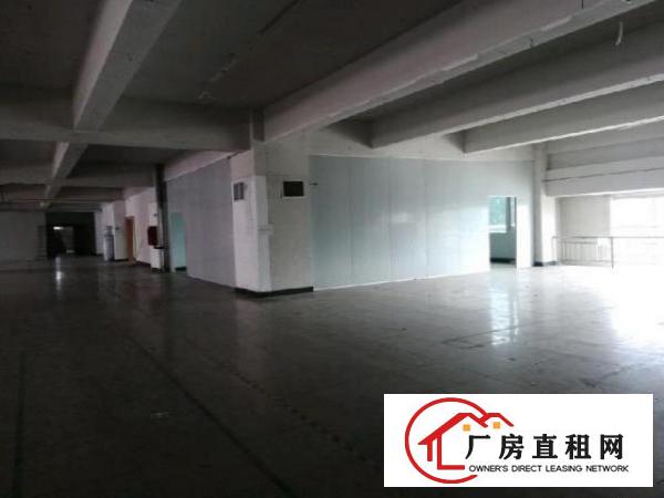  平湖主干道旁厂房三楼整层4000平可分租