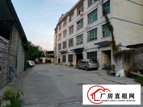  平湖鹅公岭工业区标准厂房二楼580平行业不限