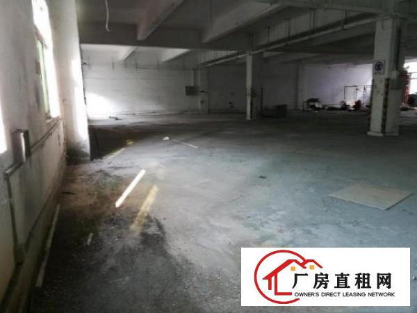  平湖富民工业区厂房二楼整层1600平可分租