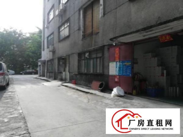  平湖标准厂房一楼实际面积400平一手房东无公摊