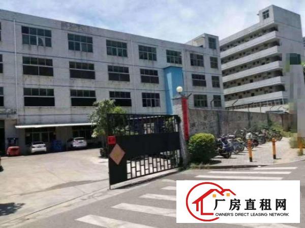  平湖白泥坑小学附近独门独院1400平方一楼精装修配送厂房出租