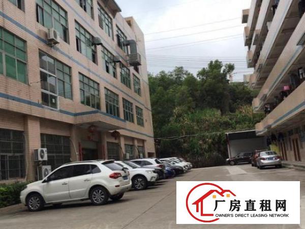  平湖仓库厂房低价出租
