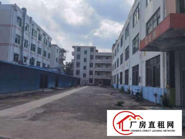  出租龙岗平湖独门独院产业园厂房招租