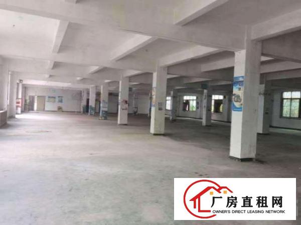  出租龙岗平湖独门独院产业园厂房招租