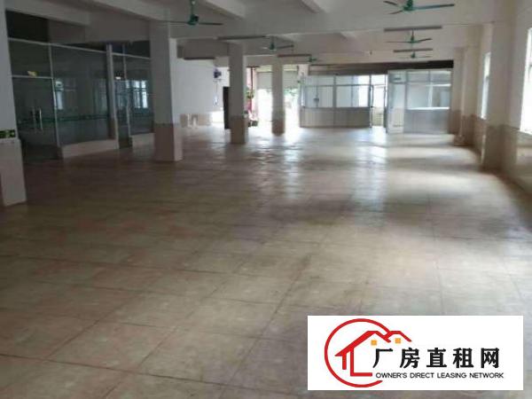  平湖白泥坑大门附近一楼，楼上配送厂房出租，带冷库，150平起
