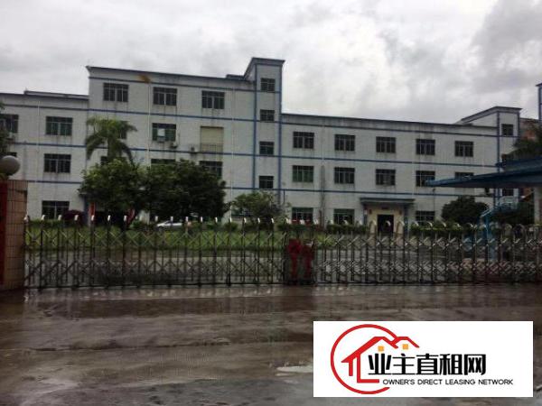  东莞凤岗近深圳平湖，三层独院厂房出租1万平方，有红本