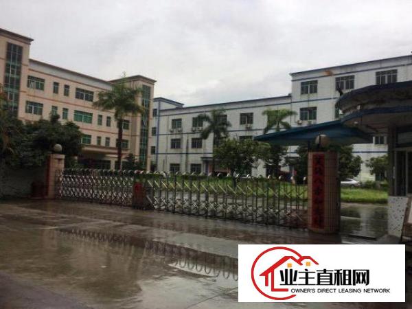  东莞凤岗近深圳平湖，三层独院厂房出租1万平方，有红本