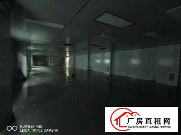  平湖无尘车间工业厂房仓库出租