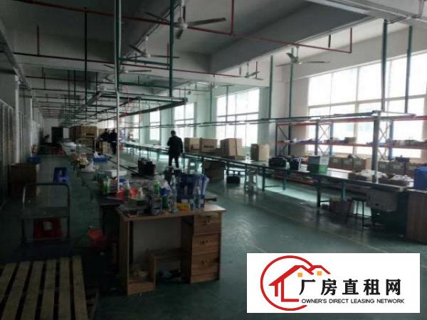  凤岗近深圳电子手机电商厂房出租现成流水线