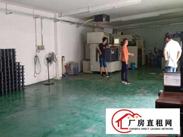  平湖成熟工业区出租独栋一楼厂房360平带办公室装修可进大车