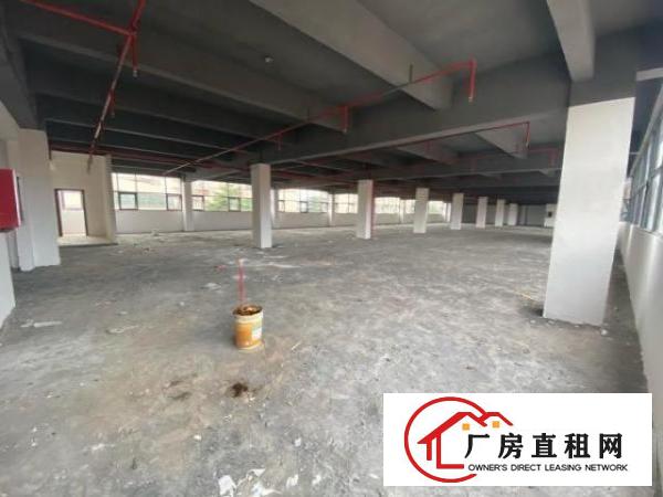  富民工业区1000平厂房出租。带标准货梯。
