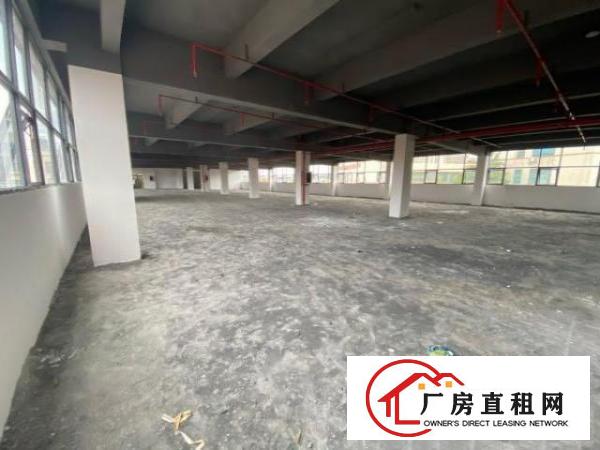  富民工业区1000平厂房出租。带标准货梯。