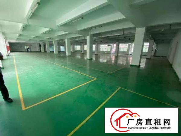  富民工业区现成车间带地平漆1800平可分租
