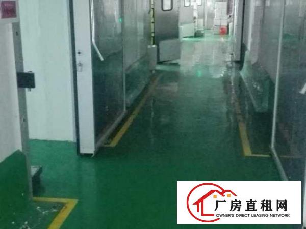  平湖白泥坑一楼，楼上厂房，仓库信息汇总，160平方起租