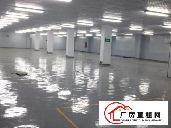  山厦工业区金穗路三楼厂房出租500平方