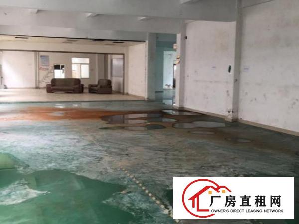  平湖工业区一楼独院厂房出租平方