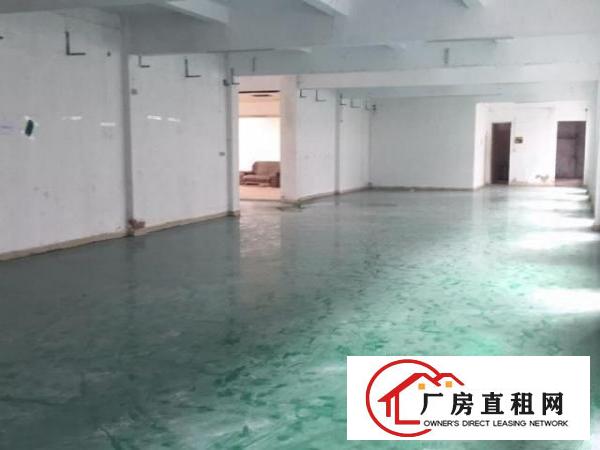  平湖工业区一楼独院厂房出租平方