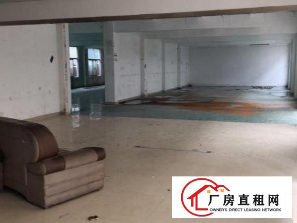  平湖工业区一楼独院厂房出租平方