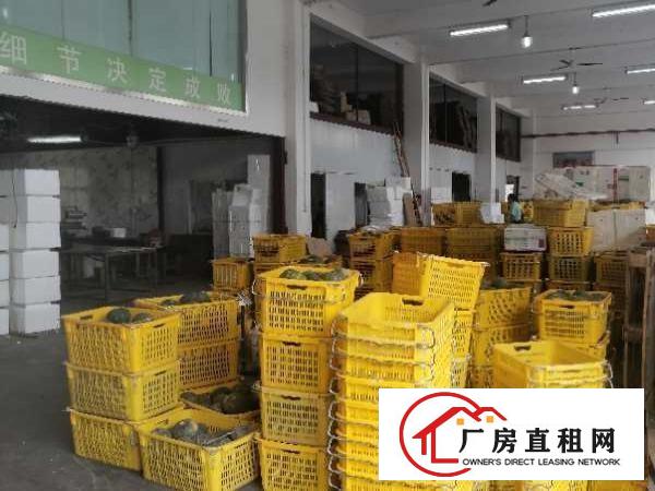  华南城附近独栋2300平方做冻库配送有装修
