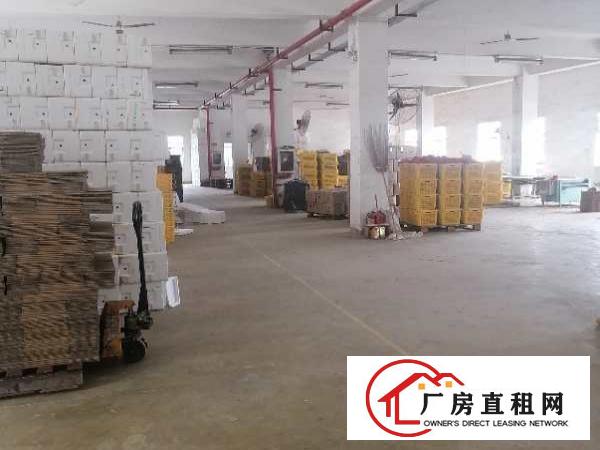 华南城附近独栋2300平方做冻库配送有装修