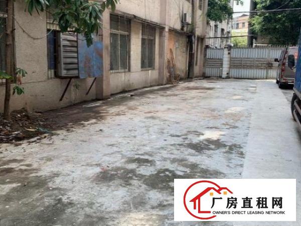  独栋独院厂房带电梯停车位卸货通道