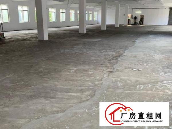  独栋独院厂房带电梯停车位卸货通道