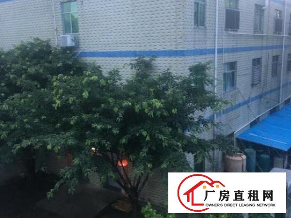  平湖华南城新木700方到3000方独院