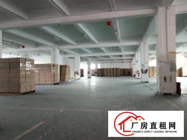  平湖成熟工业区村委独院厂房6800平米空地大配套齐全
