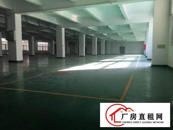  平湖富民工业区分租二楼1800平方